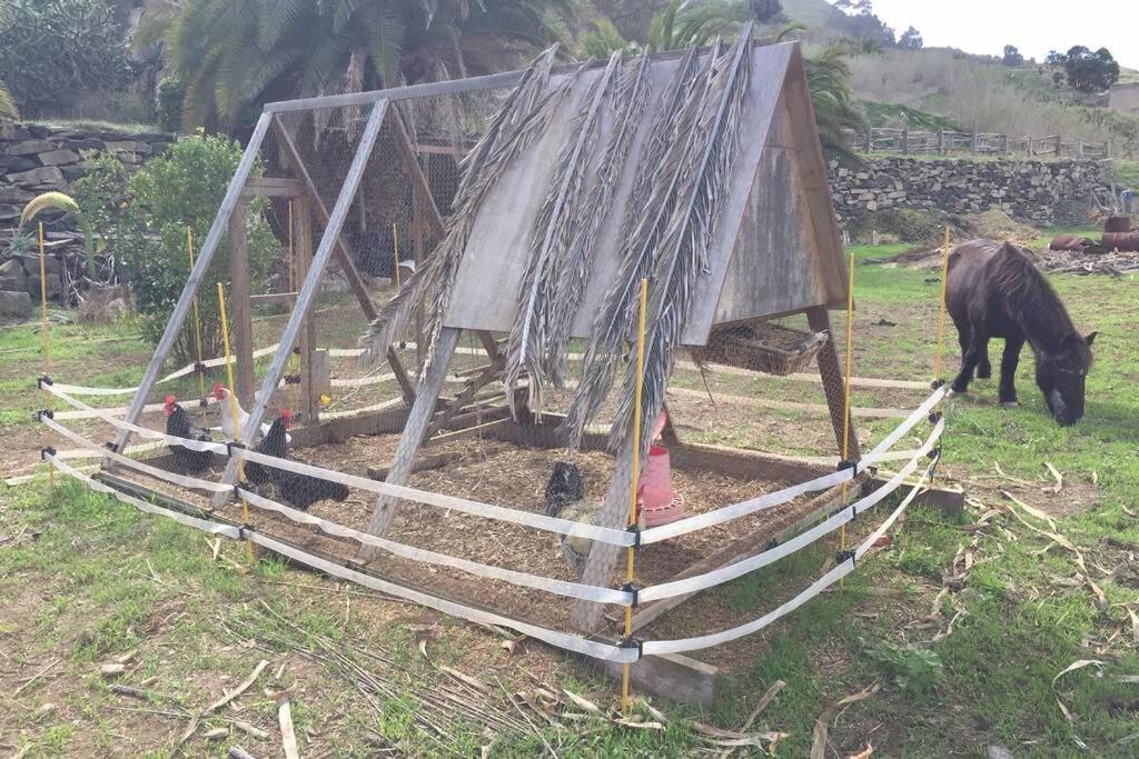 شقة Casita Bioclimatica En El Campo أروكاس المظهر الخارجي الصورة